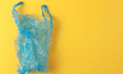 Poşet ücretinde çarpıcı iddia: Marketler 2,5 TL’ye çıkmasını istiyor