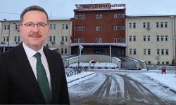 Ahmet Sevgilioğlu: ‘Daday artık kabuğunu kırmalı’