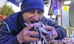 Soğuk hava hamsiyi yükseltti: Karadeniz’de kasa kasa satış sürüyor