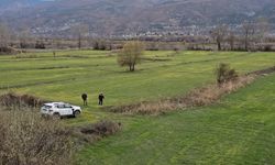 Kastamonu’da tarlalarda hastalık alarmı