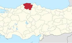 TUİK verileri açıklandı: Kastamonu’da kadın mı erkek mi daha fazla?