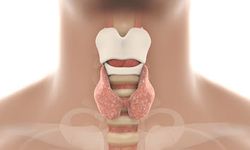 Uzman doktor uyardı: Günde yarım paketten fazla sigara içenler dikkat!