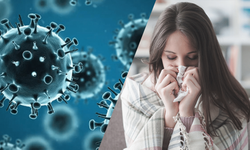 Uzmandan aşı uyarısı: Mutasyonlu grip korkutuyor!