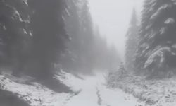 Yüksek kesimlerde kar yağışı etkili oldu: Doğa beyaz örtüyle kaplandı