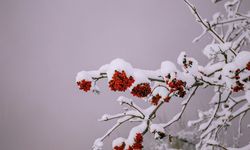 16 Ocak 2026 Kastamonu’da okullar tatil mi?