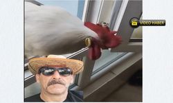 Kastamonu’da ‘Abuzer’ yetim kaldı: Fenomen toprağa verildi