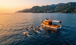 Kastamonu’da Karadeniz Açıklarında Yunuslar Kameralara Yansıdı