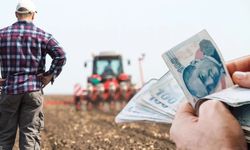 Kastamonu'da çiftçi borç para istiyor: 'Tercih değil zorunluluk'