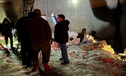 Kastamonu'da Korkutan Yangın: Bir Ev Kül Oldu, Hayvanlar Dumandan Etkilendi