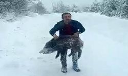 Elleriyle canlı domuz yakalayan adam konuştu: 'Kimseye tavsiye etmem'