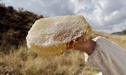 Ilgaz Balı, Dünyanın En Pahalı Balı Oldu: 1 Kilosu 11 Bin 118 Avroya Satıldı!