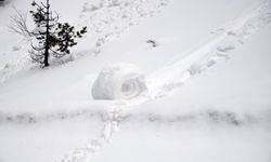 Ilgaz Dağı'nda nadir görülen olay: Kar ruloları oluştu