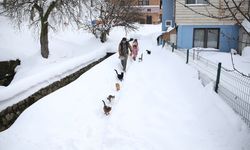 Kastamonu’da İmamdan Yürek Isıtan Görüntüler: Karda Aç Kalan Kediler İmama Sığındı