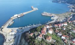 31 ülkeye gönderildi! Karadeniz’den 322 milyon dolarlık gelir