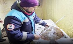 Kastamonu'da Su Ürünleri Denetimleri Aralıksız Sürüyor