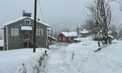 Kastamonu Dikkat: Batı Karadeniz’de Kuvvetli Kar Alarmı!