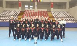 Kastamonu Dinamik SK Türkiye derecesi aldı