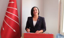 Kastamonu İl Başkanı Karabacak'tan doğal gaz tepkisi: 'Sorumlusu sizsiniz'