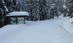 Kastamonu'da kar yağışı etkili oluyor: Yeniden beyaza bürünüyor