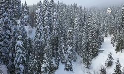 Ilgaz Dağı’nın Karla Kaplı Zirvesi Havadan Görüntülendi