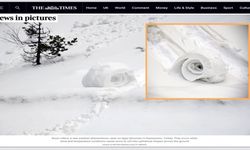 Kastamonu’da Doğanın İmzası: Ilgaz Dağı Avrupa Basınında!