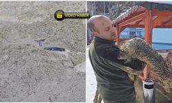 Kastamonu’da ormancı can kurtardı!