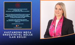 Kastamonu Mega Endüstriyel Bölge İlan Edildi: Sanayide Yeni Dönem Başlıyor