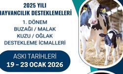 Kastamonu’da 2026 Yılı Hayvancılık Destekleri İçin İcmal Listeleri Askıya Çıkıyor