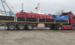 Kastamonu sahilinde denetimler sıkılaştı