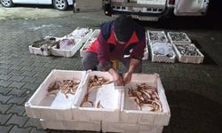 Kastamonu'da 1,5 ton balığa el konuldu