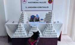 Kastamonu'da binlerce hapla yakalandı: Yargılanmasına devam edildi