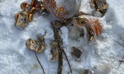 Kastamonu'da çeşme yanında biriken alkol şişeleri vatandaşları isyan ettirdi