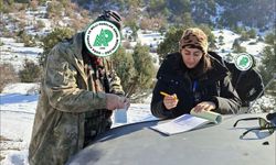 Kastamonu'da kaçak avcılığa geçit verilmedi: 17 kişiye işlem yapıldı