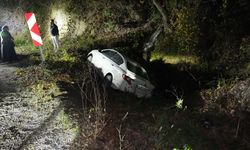 Kastamonu'da kaza: Araç şarampole devrildi