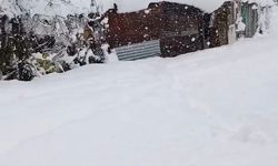 Kastamonu'nun ilçesinde kar 50 santimetreye ulaştı: Yol kapandı, elektrikler kesildi!