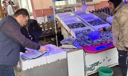 Kastamonu’nun ilçesinde su ürünleri denetimi