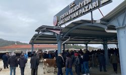 Kastamonu'nun ilçesinde yeni 'Canlı Hayvan Pazarı' hizmete açıldı