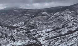 Kastamonu’nun kar manzarası büyüledi: Ormanlar beyaza büründü