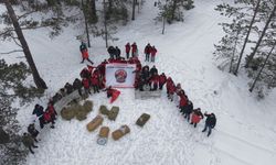 Kastamonu'nun karla kaplı ormanlarına yiyecek bırakıldı