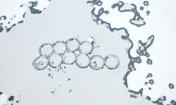 Kastamonu'da Baraj Buz Tuttu: Baraj Dronla Görüntülendi