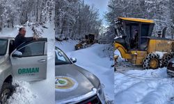 Ormanda kış mesaisi, Taşköprü OİM ekipleri zorlu şartları aştı