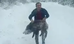 Elleriyle Domuz Yakalamanın Bedeli Ağır Oldu!