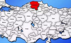 TÜİK açıkladı! Herkes memleketinde yaşasaydı nerede kaç kişi olacaktı: Kastamonu da açıklandı!