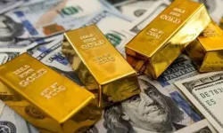 TÜİK raporu yayımlandı, Aralık ayının en çok kazandıranı netleşti