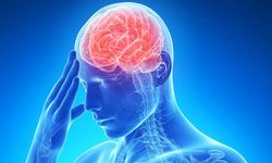Uzmanlar uyardı! Susuz kalmayın: Beyin sağlığında buna dikkat!
