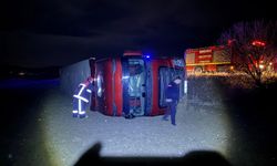 Yola Fırlayan Köpek Tır Kazasına Neden Oldu: Sürücü Yaralandı