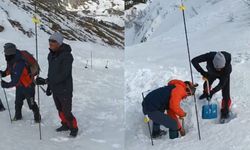 53 gündür haber yok: Çığ riski azalınca ekipler yeniden sahaya girecek