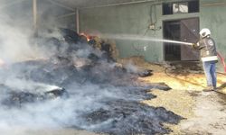 70 Saman Balyası Alevlere Teslim Oldu!