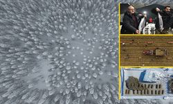 Tarım ve Orman Bakanlığı, Ilgaz Dağı'nı Paylaştı