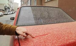 Yalancı bahar bitecek, fırtına yıkacak, gökten çamur yağacak!